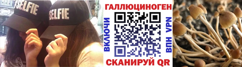 Псилоцибиновые грибы Psilocybe  дарнет шоп  Туймазы 